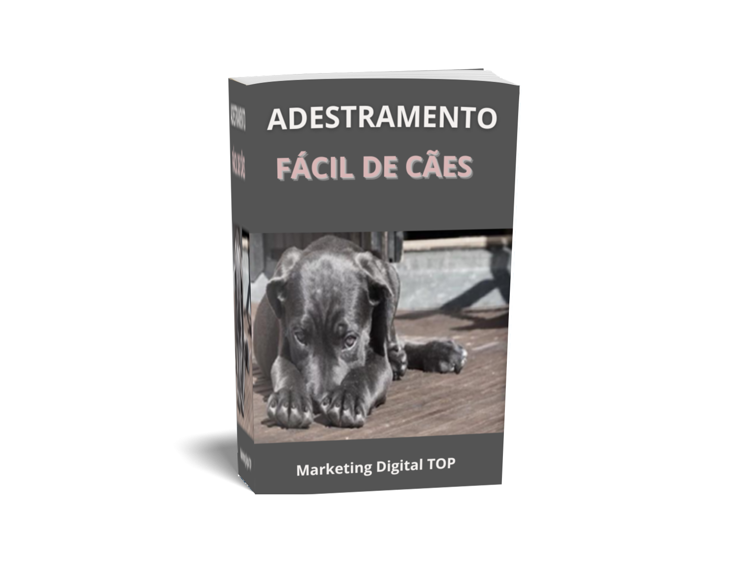 Ebook Adestramento fácil para cães