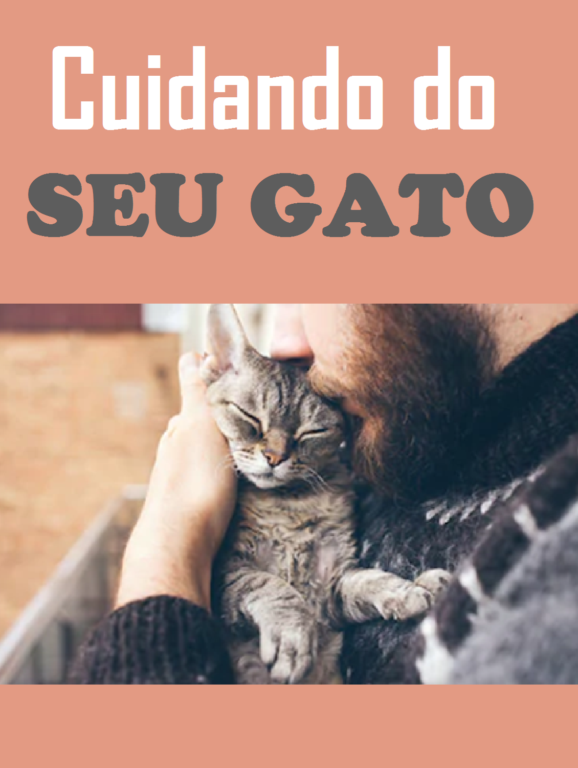 Cuidando do seu gato