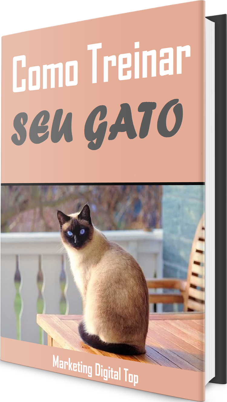 Como treinar seu gato